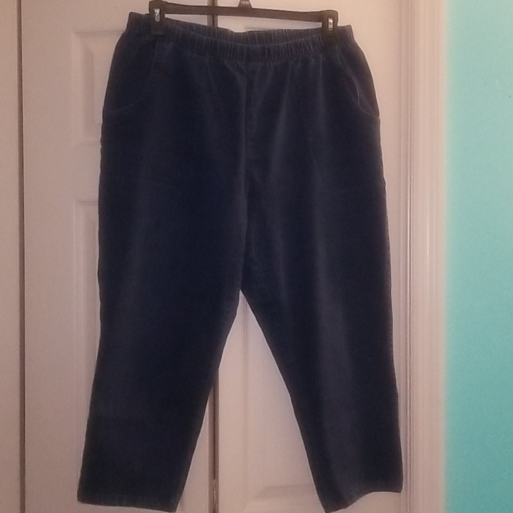 Woman Within Jeans, 22W